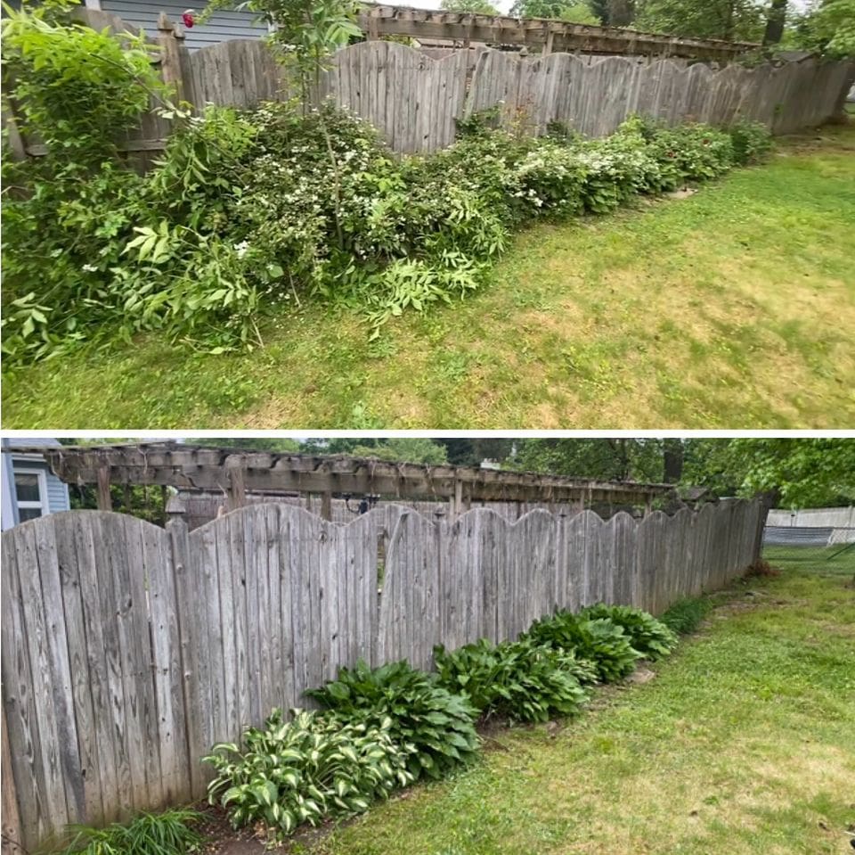 Yard cleanup in NJ