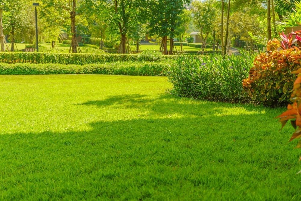 Cedar Grove NJ Lawncare