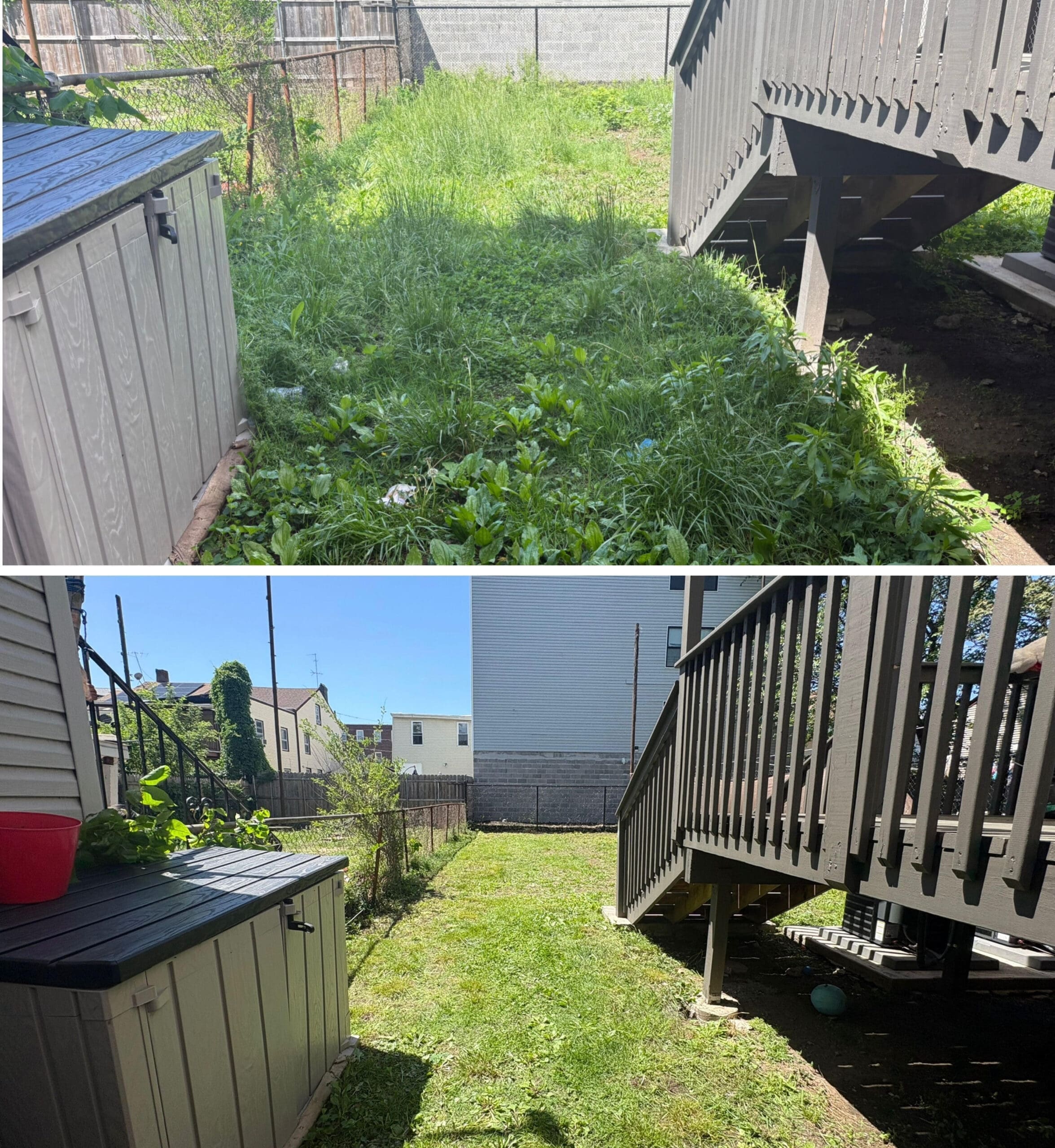 Healthy Yard Orange NJ