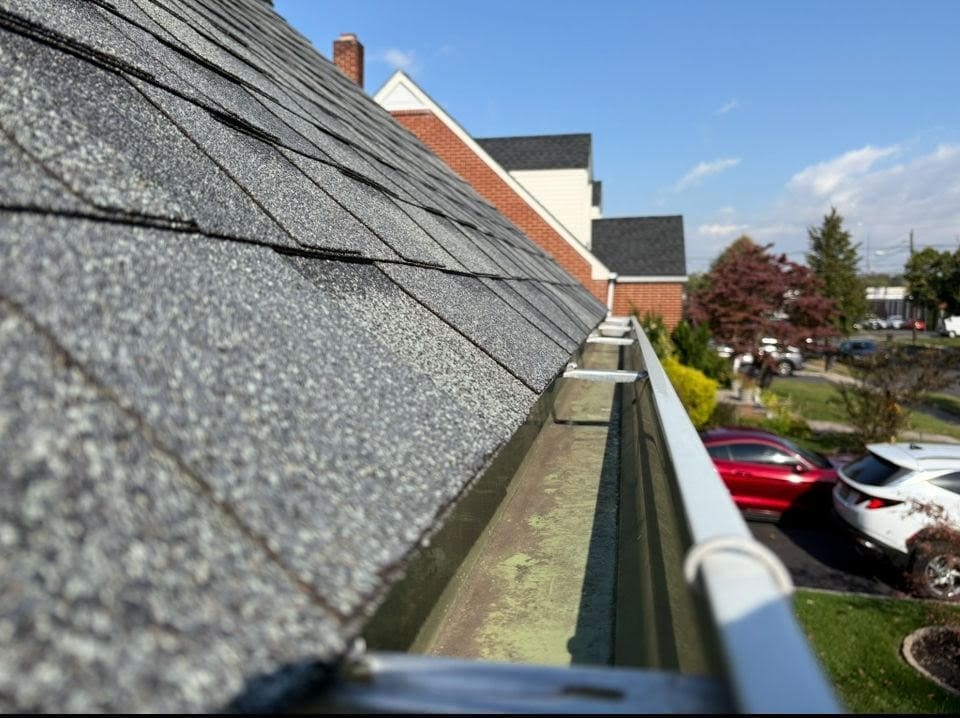 Gutter Cleaning Near Me.