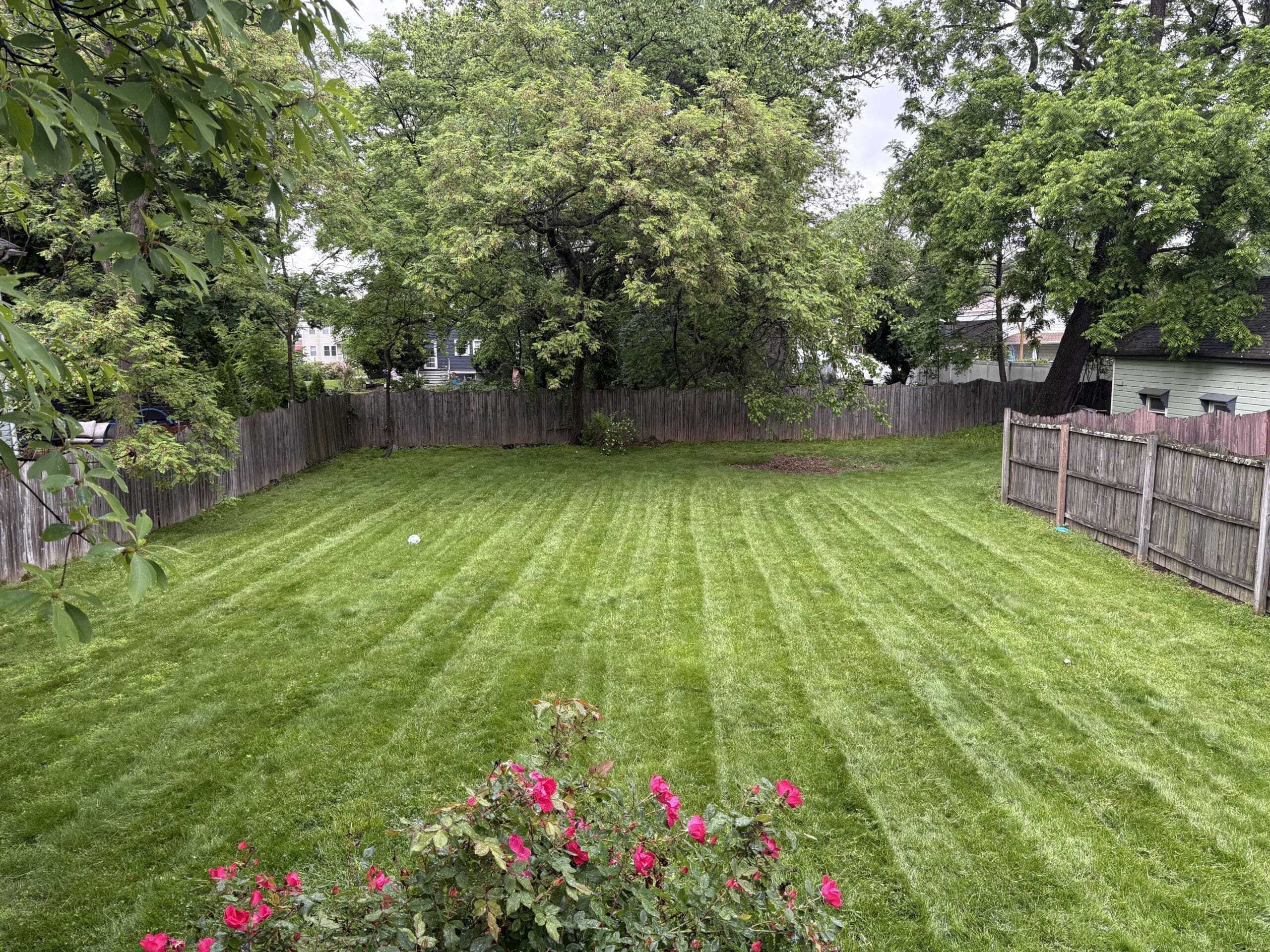 Northern Jersey Yard Maintenance
