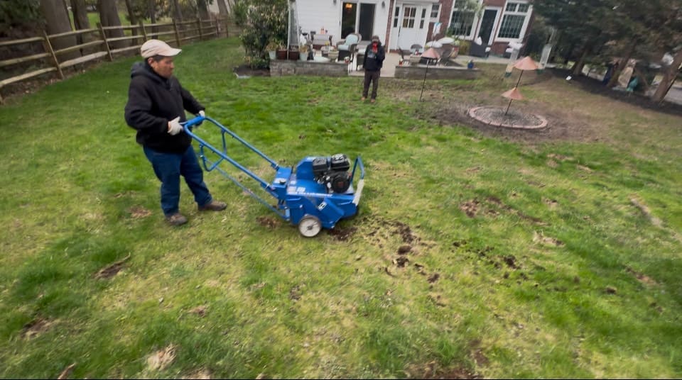 Green Lawn in New Jersey