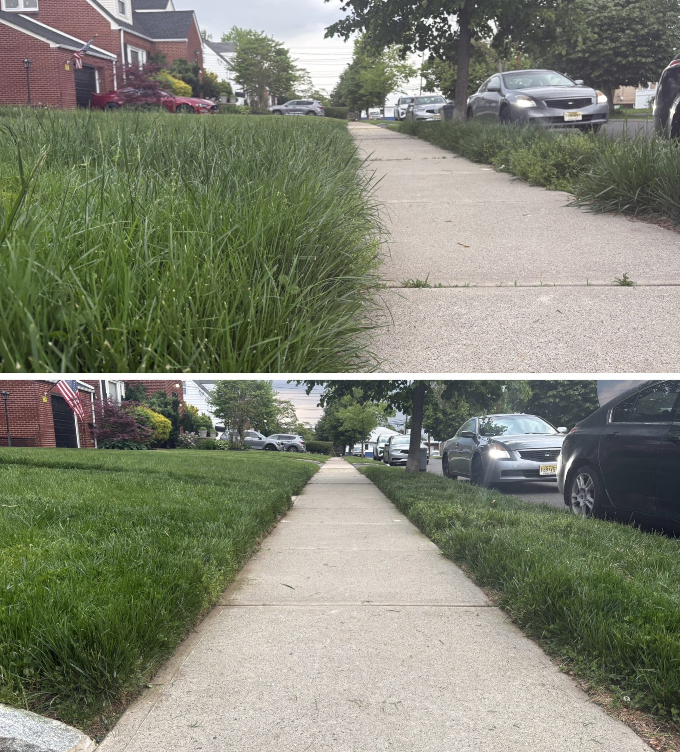 Healthy Lawn and Clean Sidewalk
