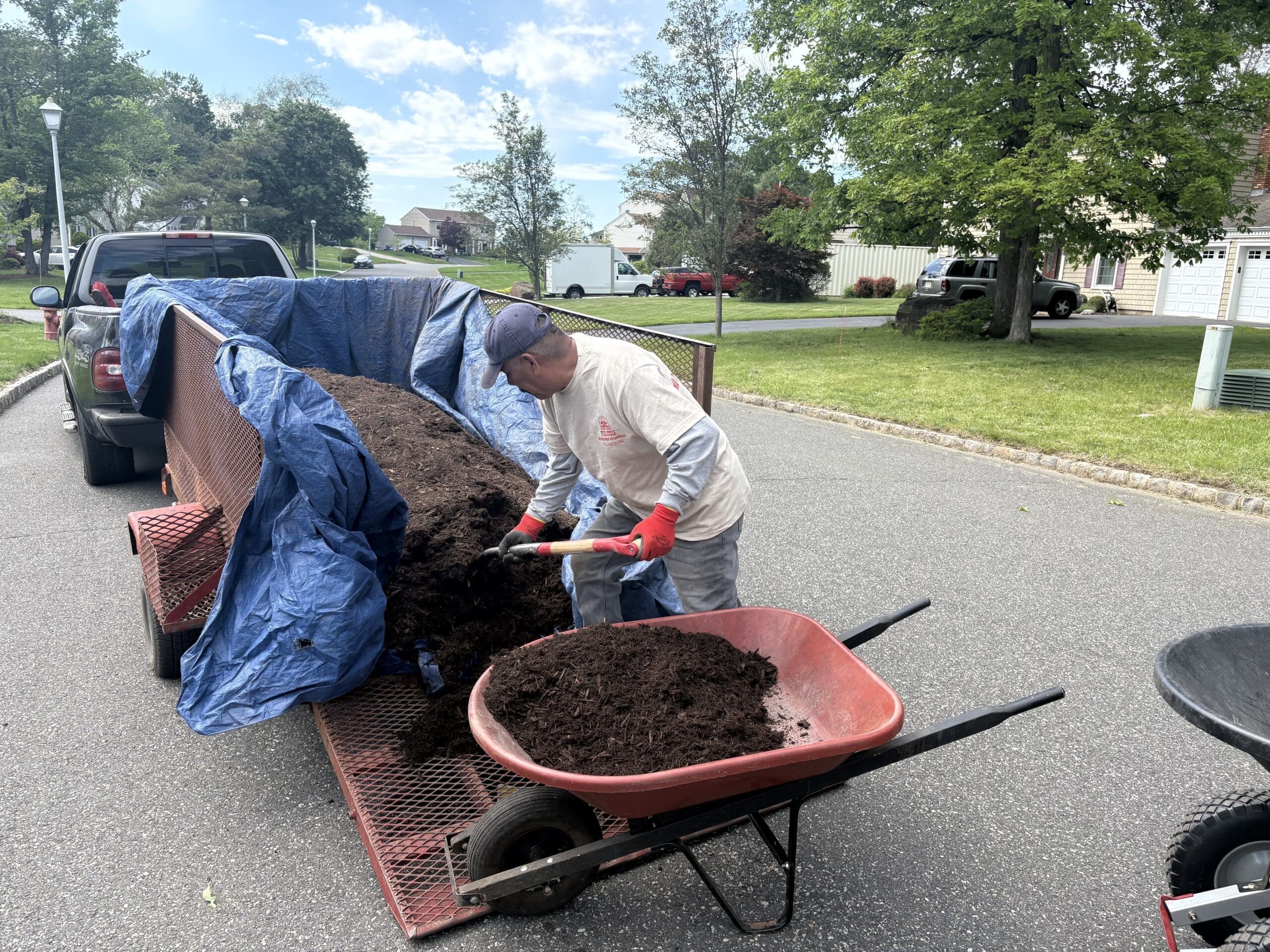 Removing Invasive Species NJ