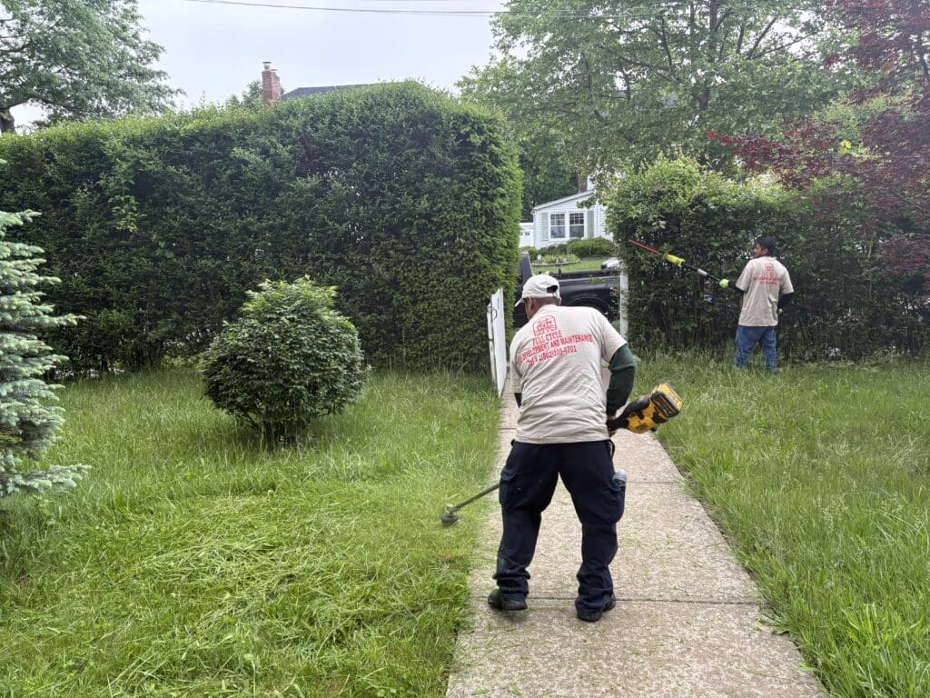 Green Grass New Jersey