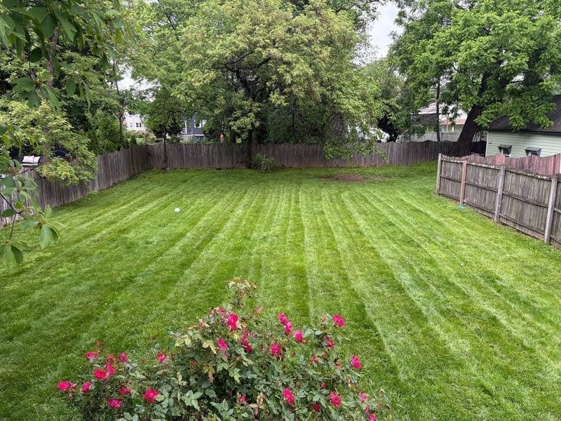 Healthy Lawn
