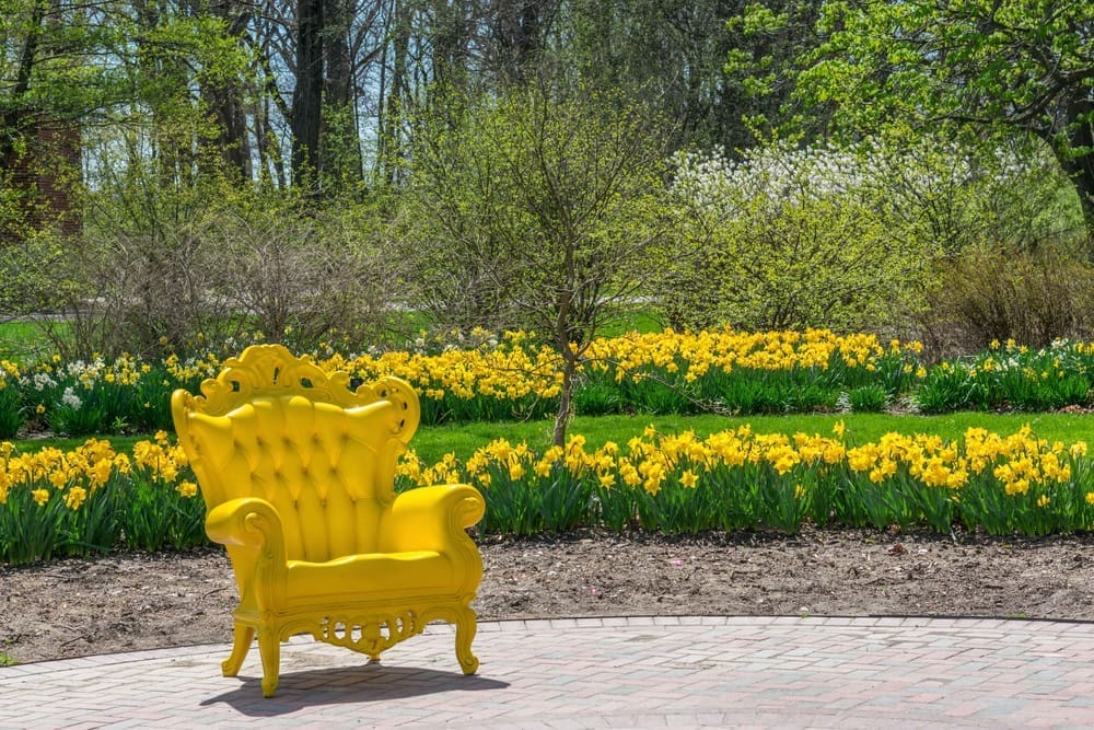 Beautiful yard with yellow chair