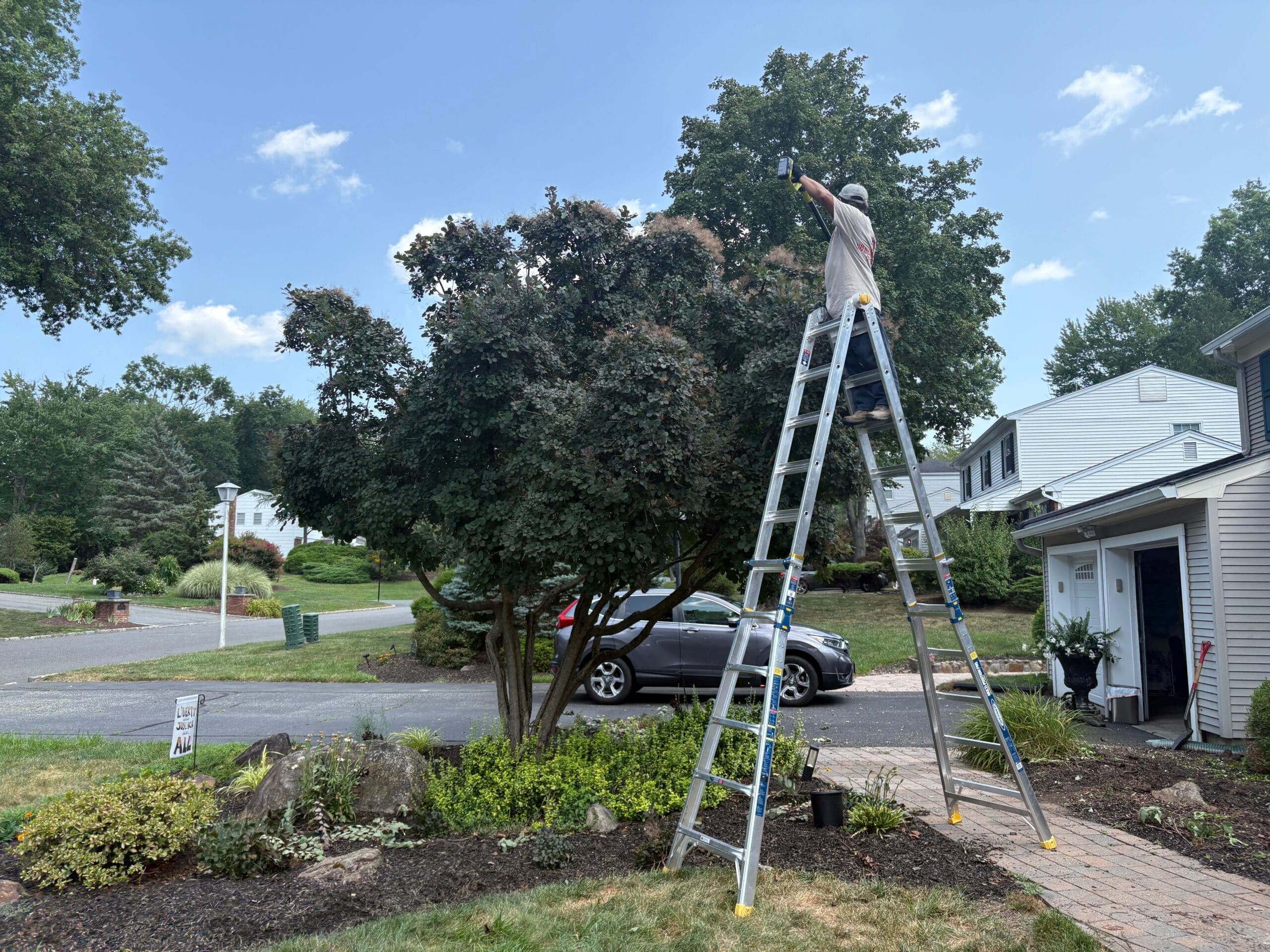 Pruning Trees in Essex County