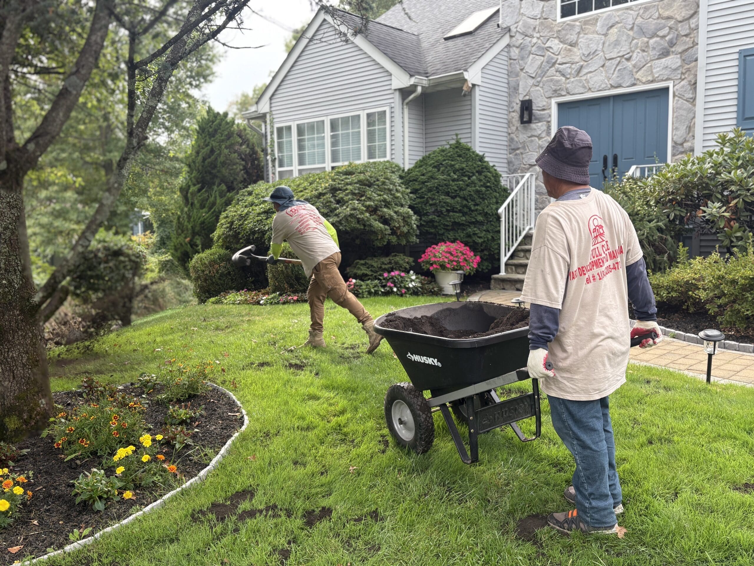 Lawn Care Without Chemicals