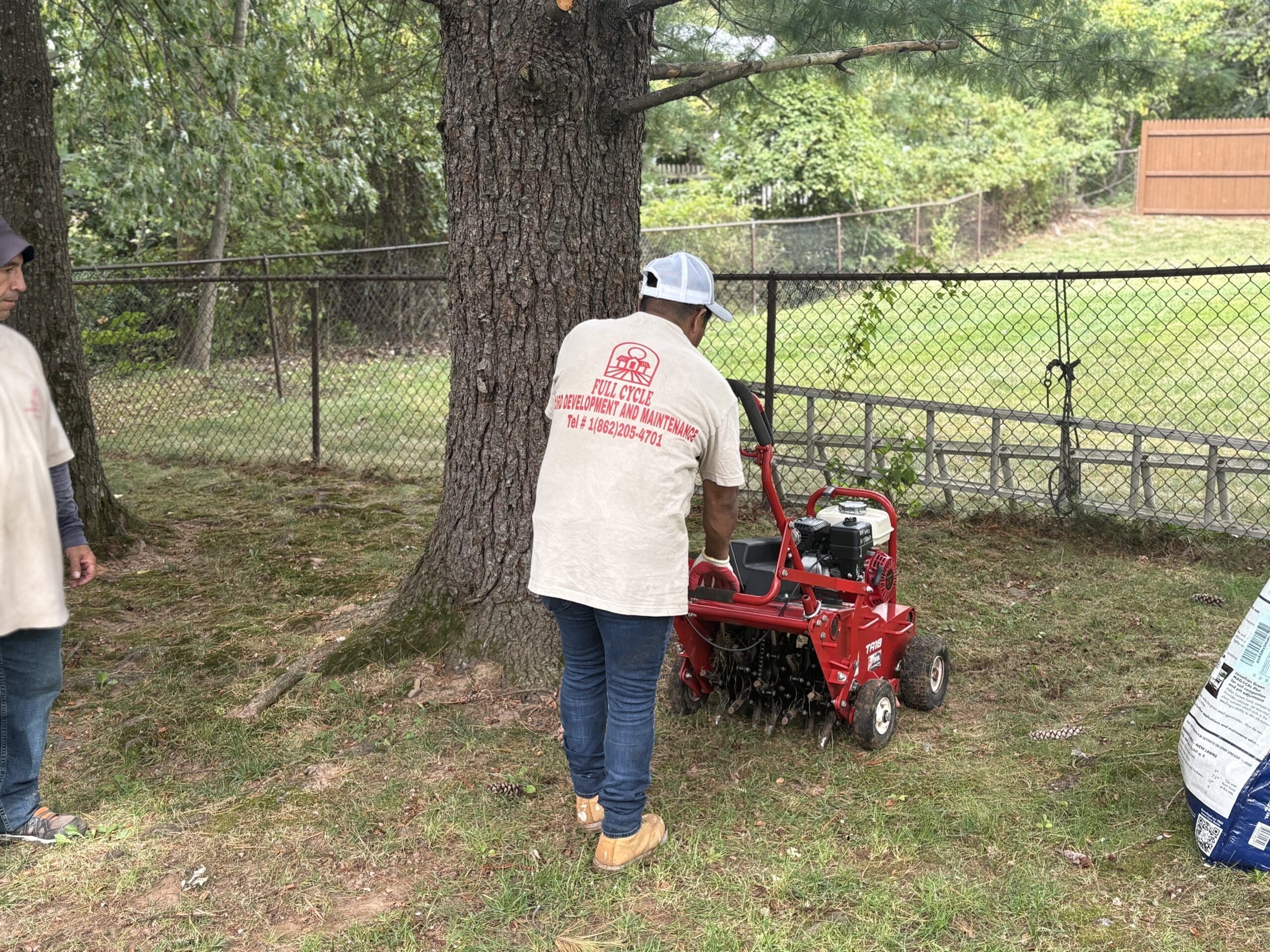 Green lawn fertilizer